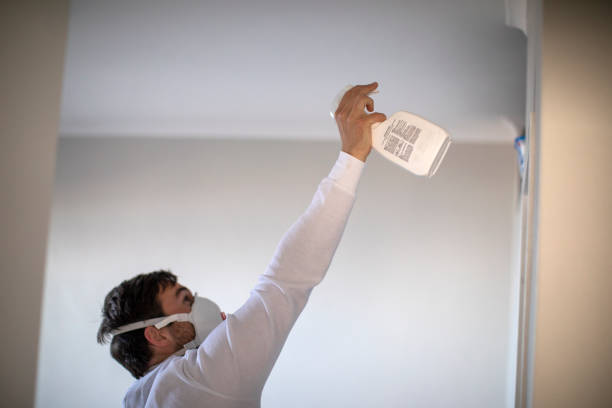 Office Mold Removal Services in South Zanesville, OH